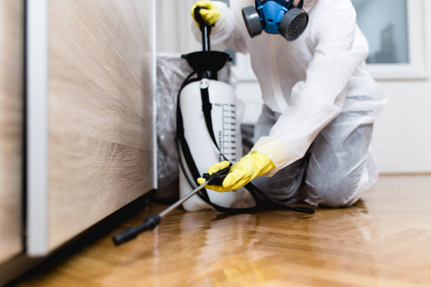 Best Local Pest Control Services  in Mont Alto, PA