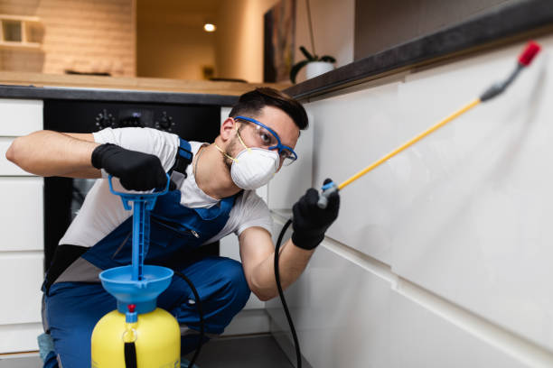 Best Bed Bug Extermination  in Mont Alto, PA