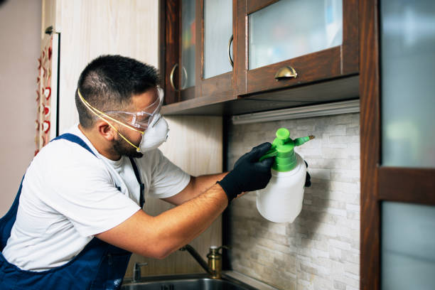 Best Best Pest Control Companies  in Mont Alto, PA