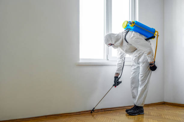 Best Affordable Pest Control Services  in Mont Alto, PA