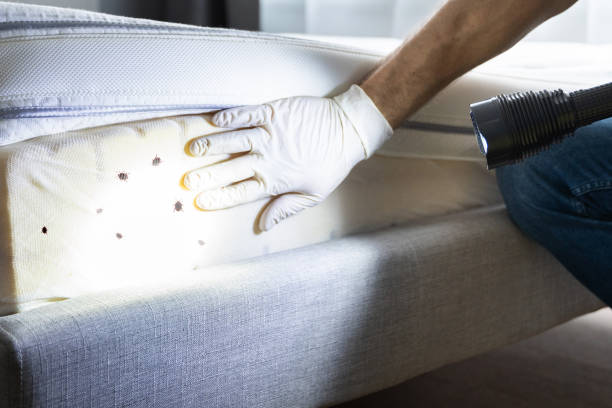 Best Best Pest Control Companies  in Mont Alto, PA