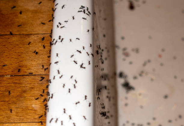 Pest Control Cost in Mont Alto, PA