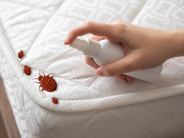 Best Pest Control Near Me  in Mont Alto, PA