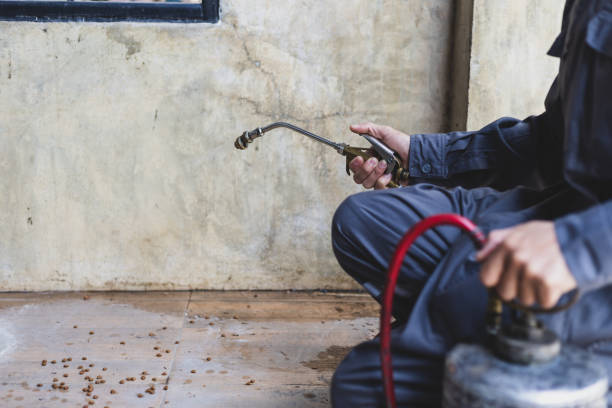 Best Mosquito Control Services  in Mont Alto, PA